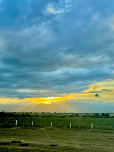 Niza Salvador xxxスター 写真