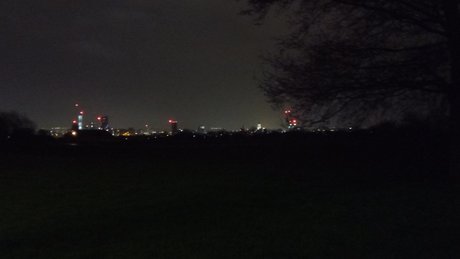 Delightful Dave アダルト女優 ギャラリー