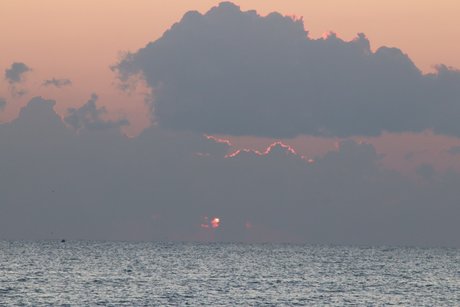 Bby Steph ポルノスター HD 画像