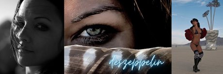 Des Zeppelin ホットモデル 写真