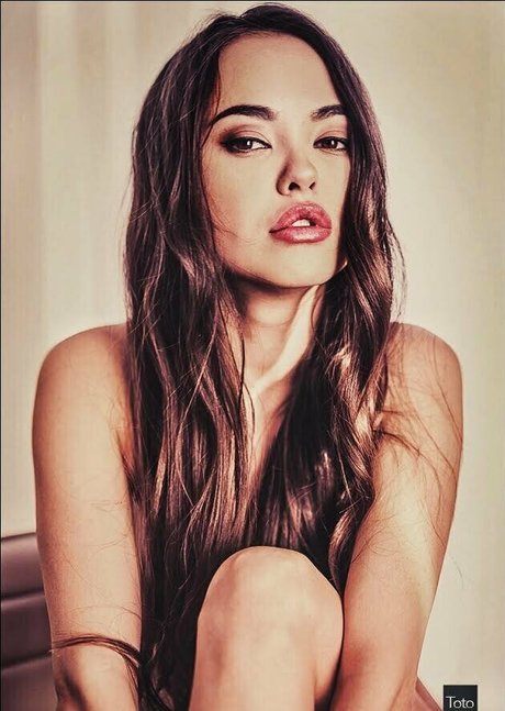 家族限定ファン トップ 写真