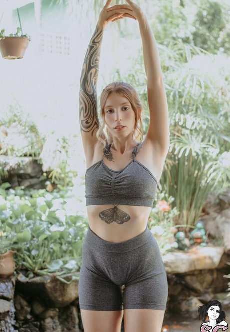 hopefulsuicidegirls ヌードスター アーカイブ