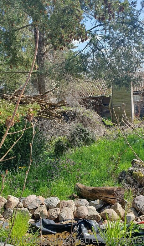 mistress remmel HDポルノスター ギャラリー