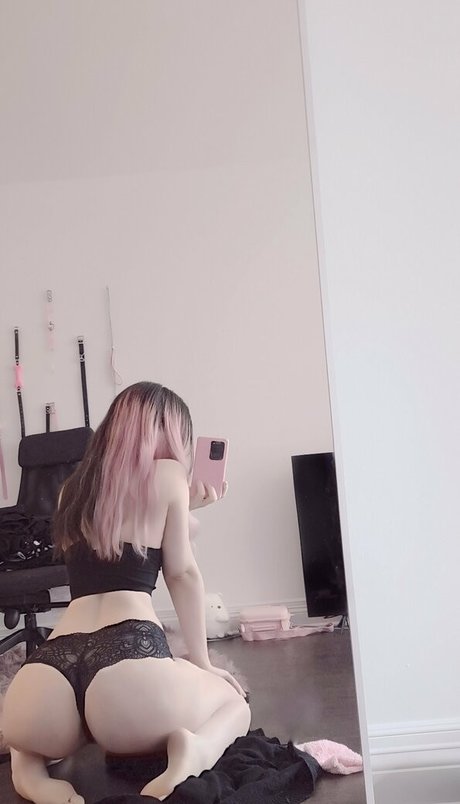 freepuppii 美しいスター 画像