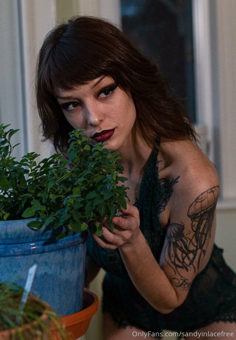 sandyinlacefree アダルトモデル 写真