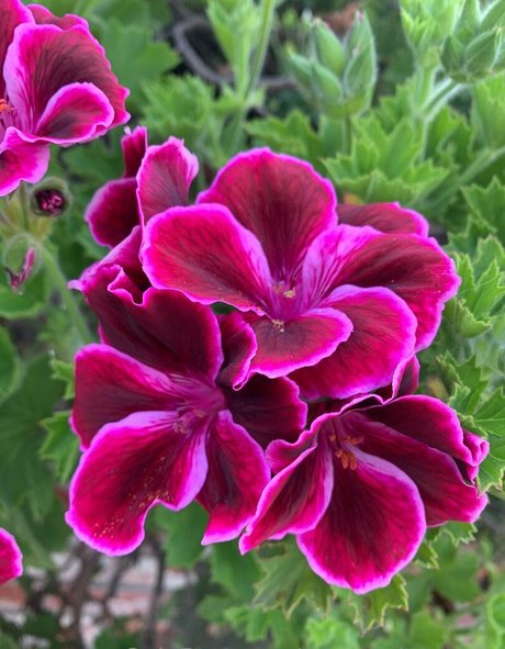 巨乳 パイズリ OnlyFans ホットxxx 写真