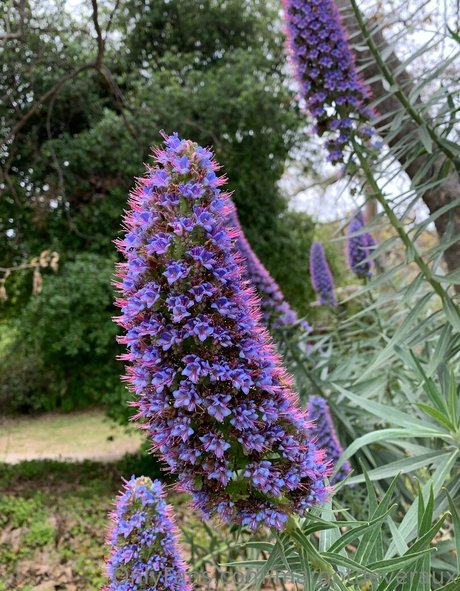 自然な赤毛のオンリーファンズ アートポルノ 写真