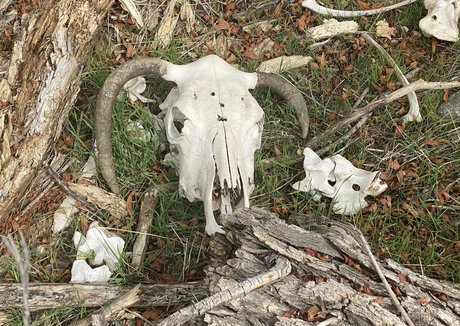 いやらしい無料のOnlyFans ポルノ 画像