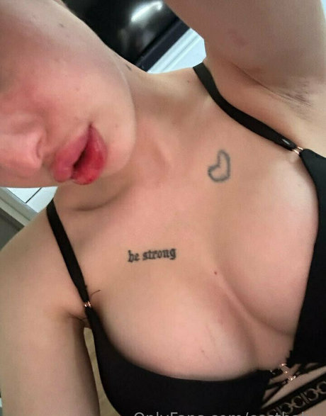 costbaby トップスター アーカイブ