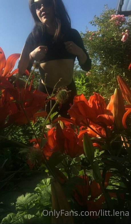 ブッシュ・オンリーファンズ 無料 画像