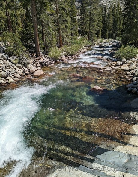 hungskater Profilbild