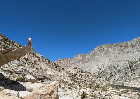 hungskater トップスター 画像