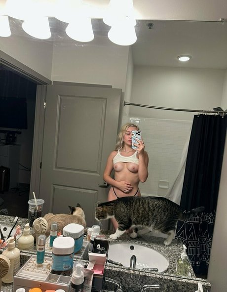 Ashhxpee HDモデル 写真