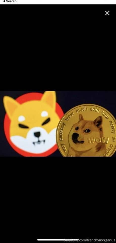 frenchymorgans 可愛いモデル ギャラリー