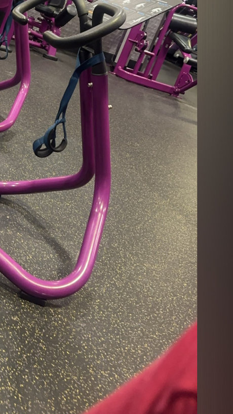 NOLALUV スター 写真