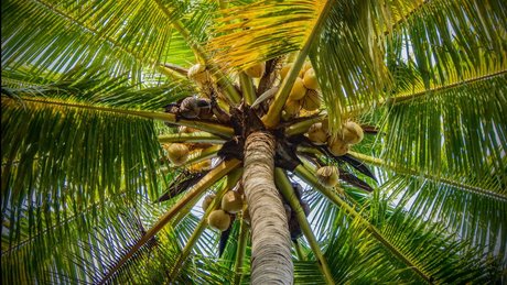 Eros Mezzanotte ホットなモデル アーカイブ