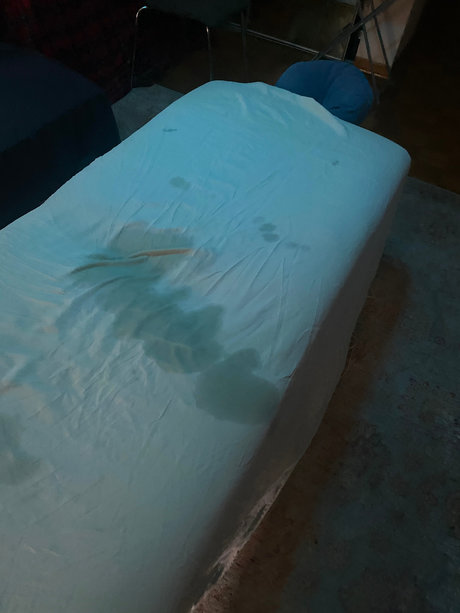 Adventures of Bo 素敵なスター 写真