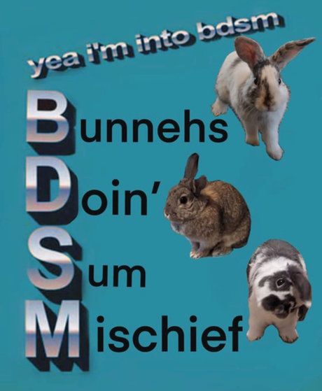 _Ocean_ スターセックス ギャラリー