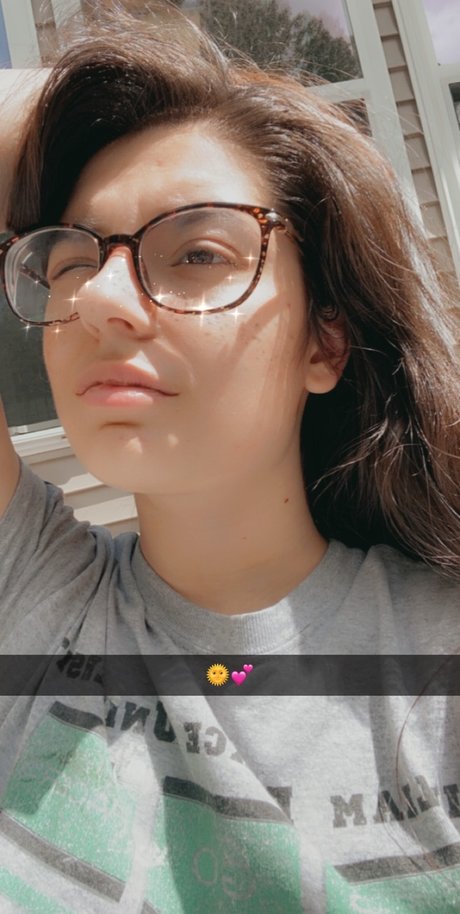 Amaryllis Rose HDスター 写真