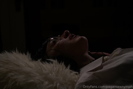 Kitten Nymph 素敵なスター ギャラリー