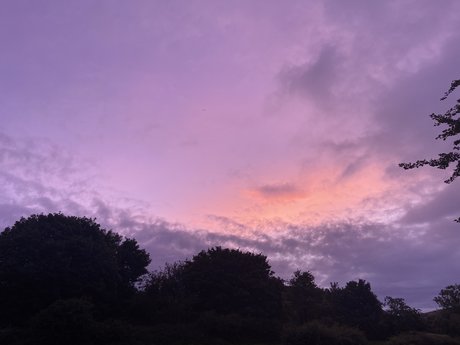 Lesbian Couple エロティックなスター 写真