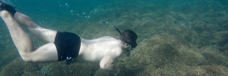 G Araiza Alan ポルノスター 美しい ギャラリー