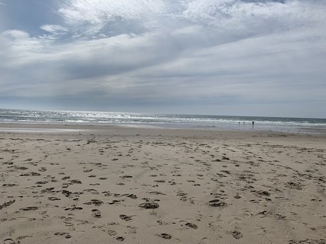 Oregongay 素敵な女優 写真