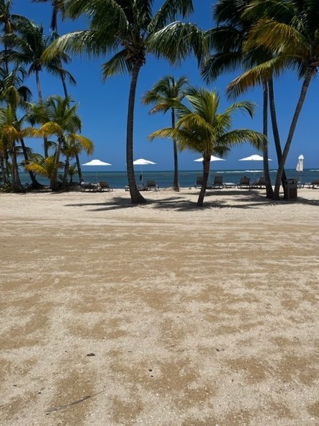 ブルネットの猫OnlyFans 美しいポルノ アーカイブ