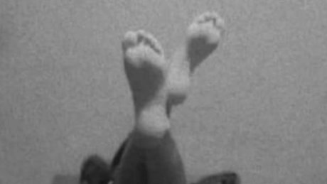 Paola Rodriguez ポルノスター パーフェクト 写真