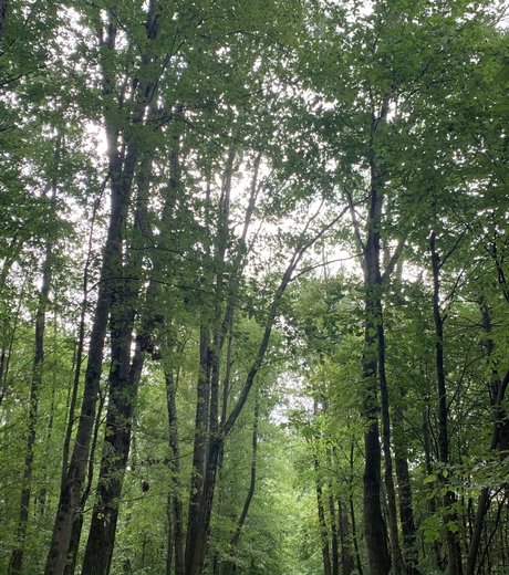 義理の妹オンリーファンズ 無料エロ 写真