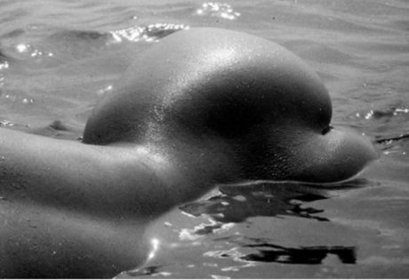 Carolina Chirinos 素敵なスター 写真