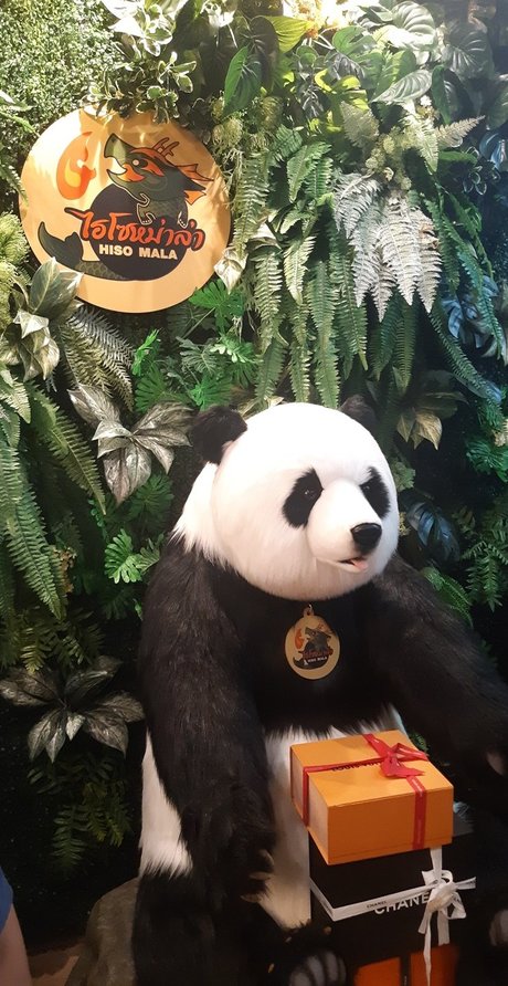 Chiba ポルノモデル 画像