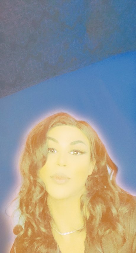 Seijai ポルノスター パーフェクト アーカイブ