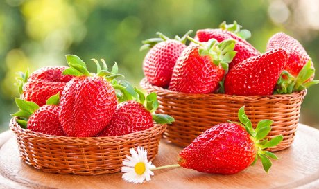 Playful fetish ホットなポルノスター ギャラリー