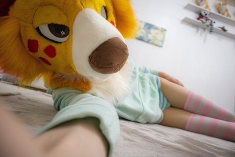 Domino 高品質モデル ギャラリー