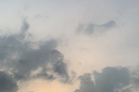 Ms Dango スター 裸 写真