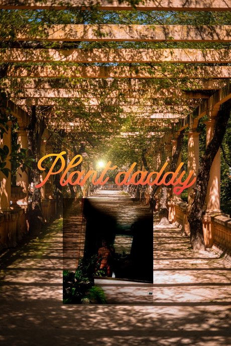 Plant Daddy モデル 写真