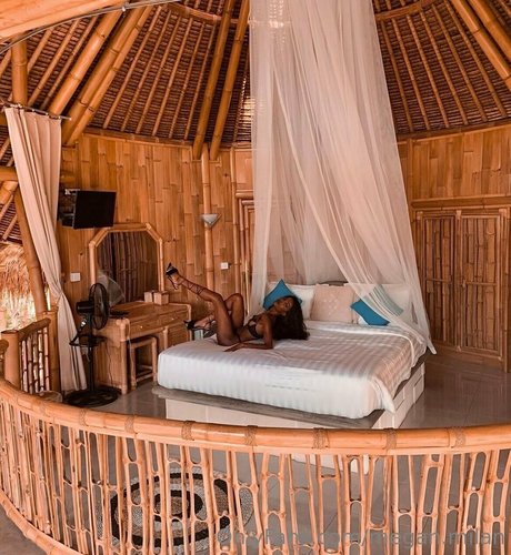 ディルフオンリーファン 美しい 写真