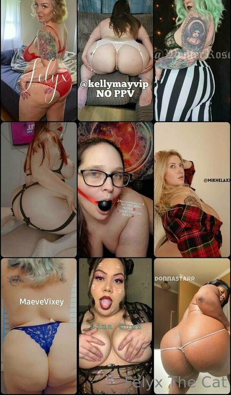 felyxfree ホットなスター 写真