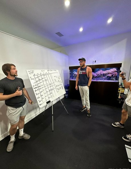 tmotp 完璧なスター 画像