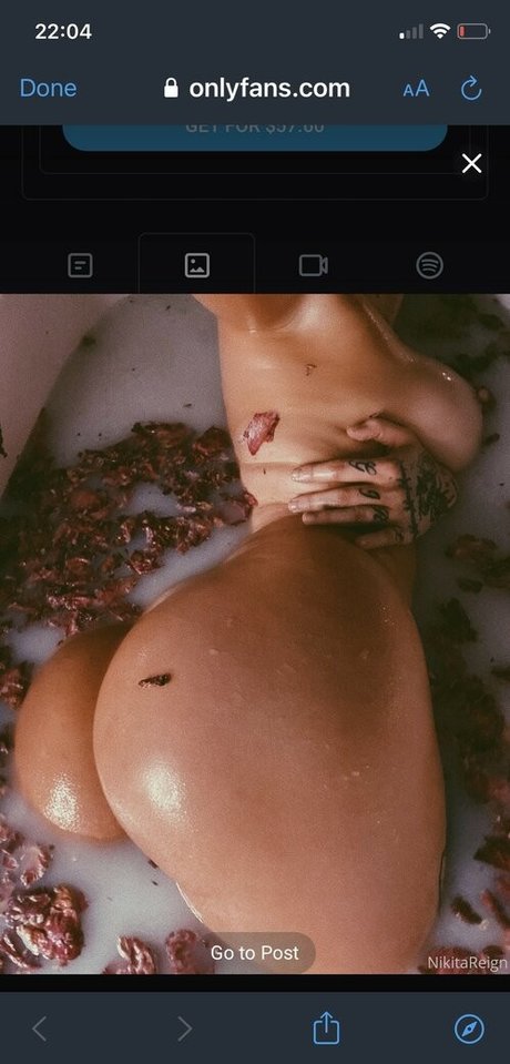 ボディオンリーファン ポルノ ギャラリー