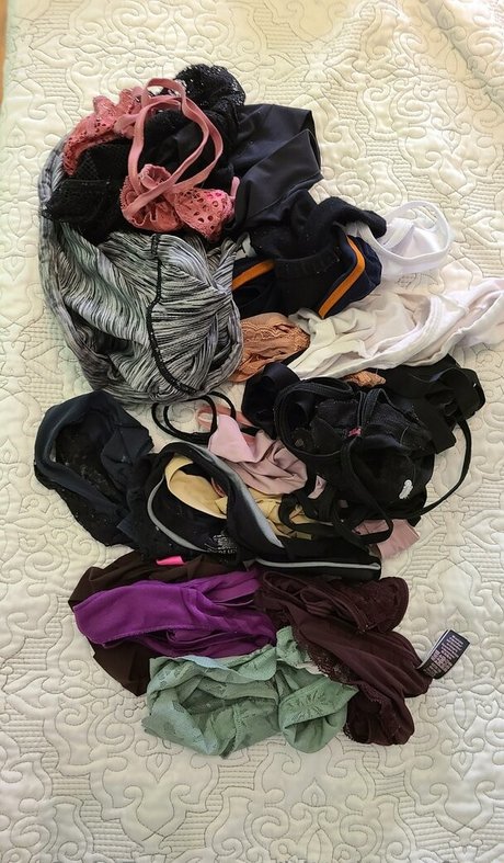 ブッシュ・オンリーファンズ アートxxx ギャラリー