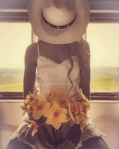 bronzed aurora 完璧なスター 写真