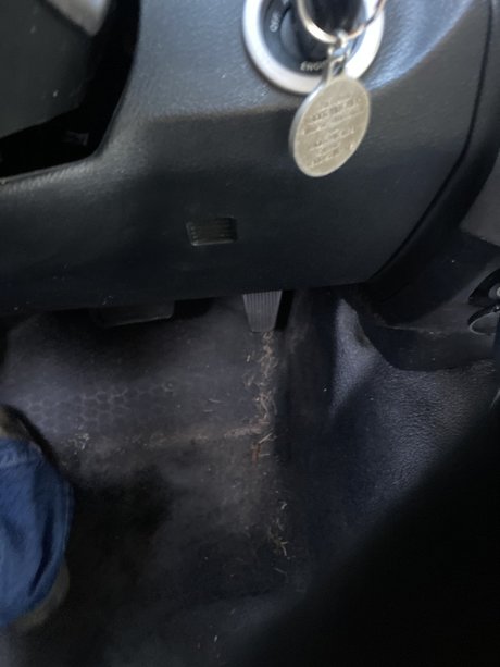 Coach30563 ポルノスター 写真