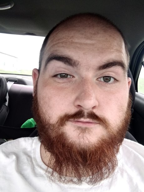 Pumbaa ポルノスター HD 写真