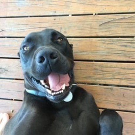 sconcey ホットモデル ギャラリー