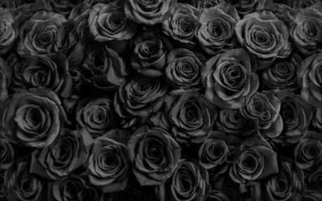 S C A R_ 女優 アーカイブ