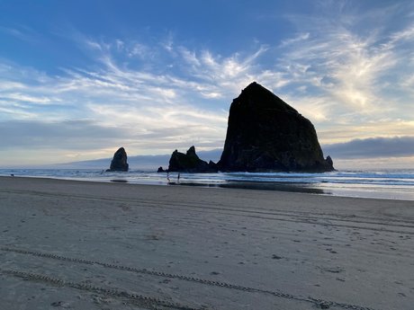 Reese W 美しい女優 写真