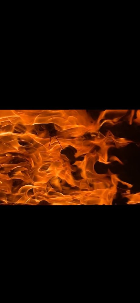 JOI 無料 OnlyFans アート裸 写真