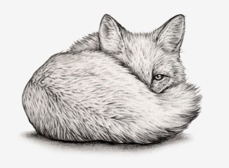 Quinn Fox ホットなポルノスター ギャラリー